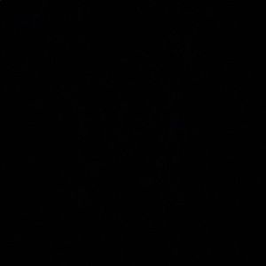 Meet your Posher, Terry